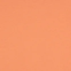 AMERICA- T-SHIRT ARANCIO 114911