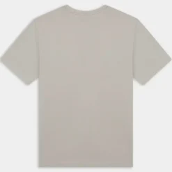 BASIC T- T-SHIRT GLACIER GRAY 12280158