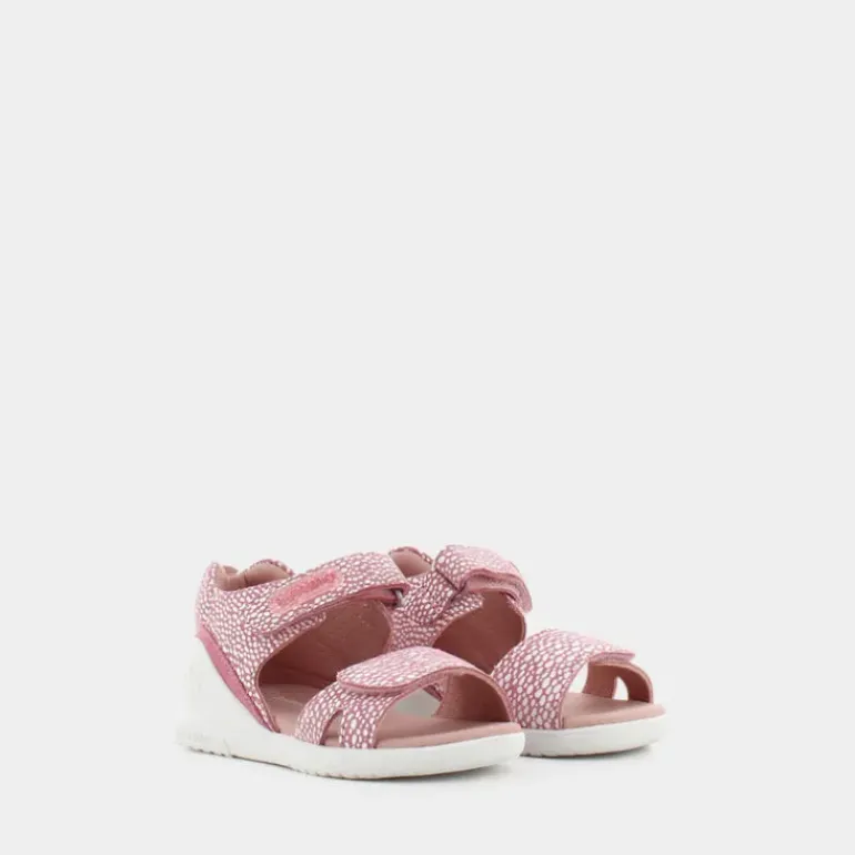 BIOGATEO- PRIMI PASSI ROSA 232162