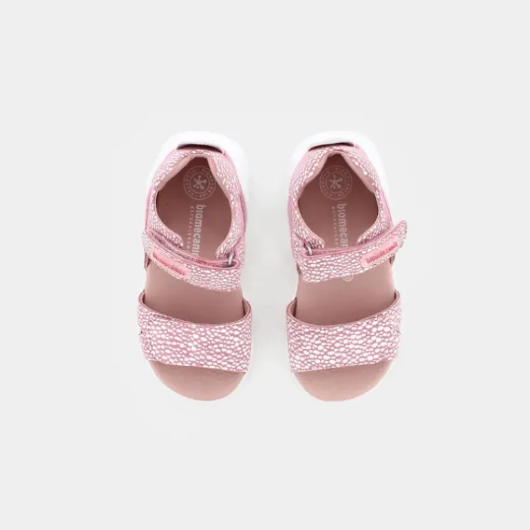 BIOGATEO- PRIMI PASSI ROSA 232162