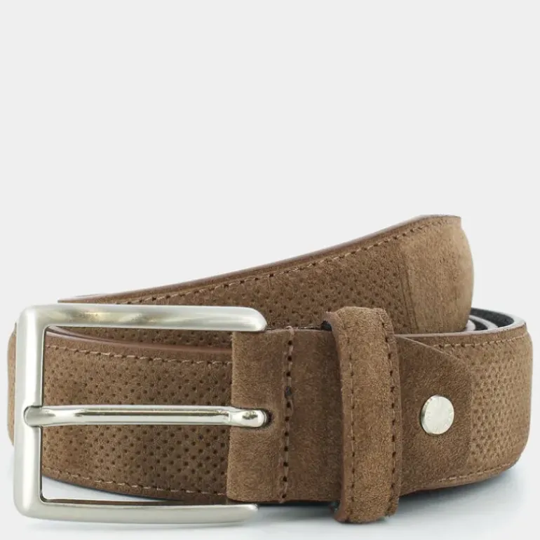CAMOSCI- CINTURE MARRONE DG-E25-100