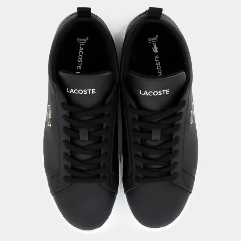 CARNA BASE- SPORTIVE BLK/WHT 48SMA0112