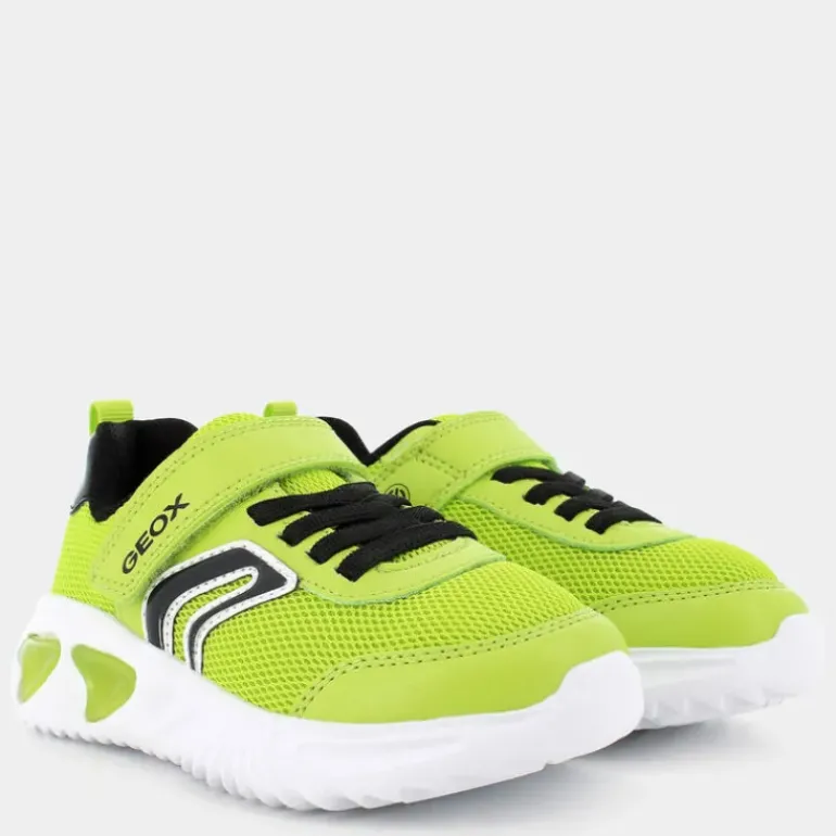 014CE- SPORTIVE GIALLO J45DZC014CEC3707