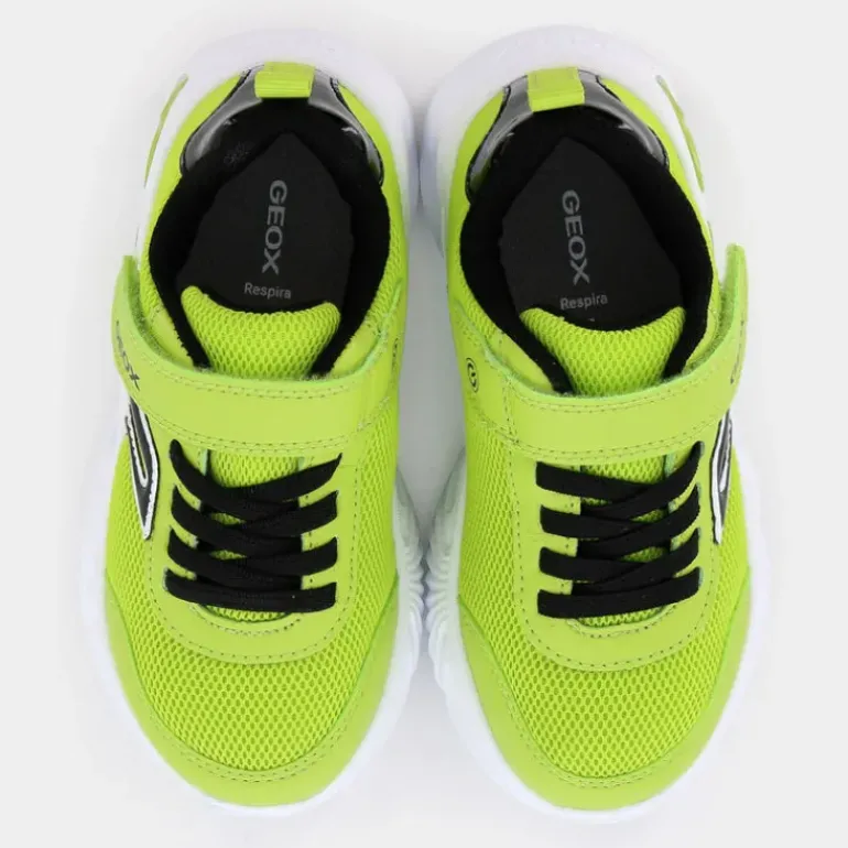 014CE- SPORTIVE GIALLO J45DZC014CEC3707