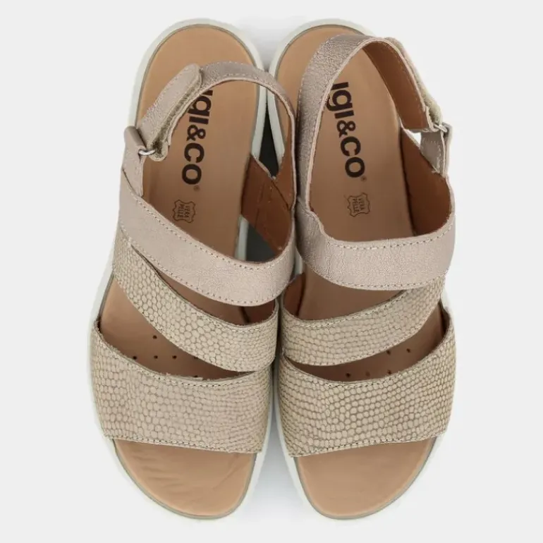 CLAIRE- SANDALI TAUPE 5667422