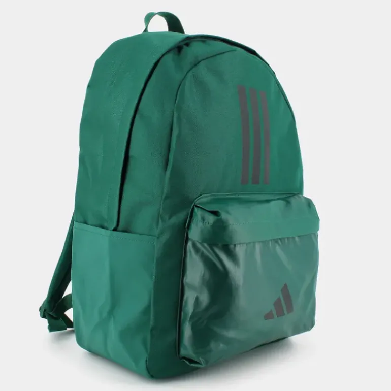 CLSC BARS 3S- ZAINI Green IS7044