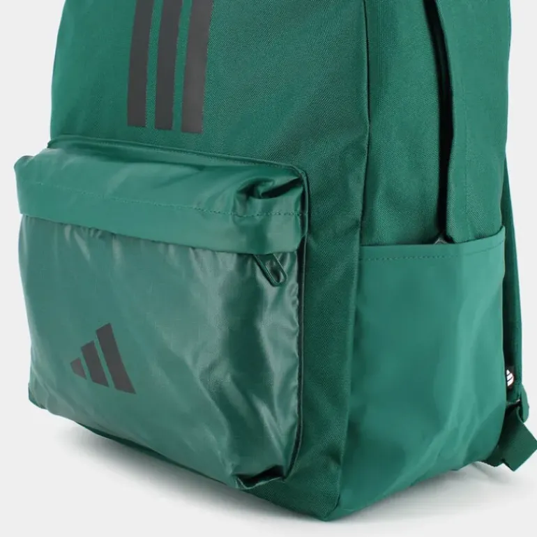 CLSC BARS 3S- ZAINI Green IS7044