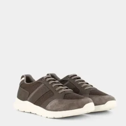 DAMIANO- SNEAKERS MARRONE U35ANA014EKC1018