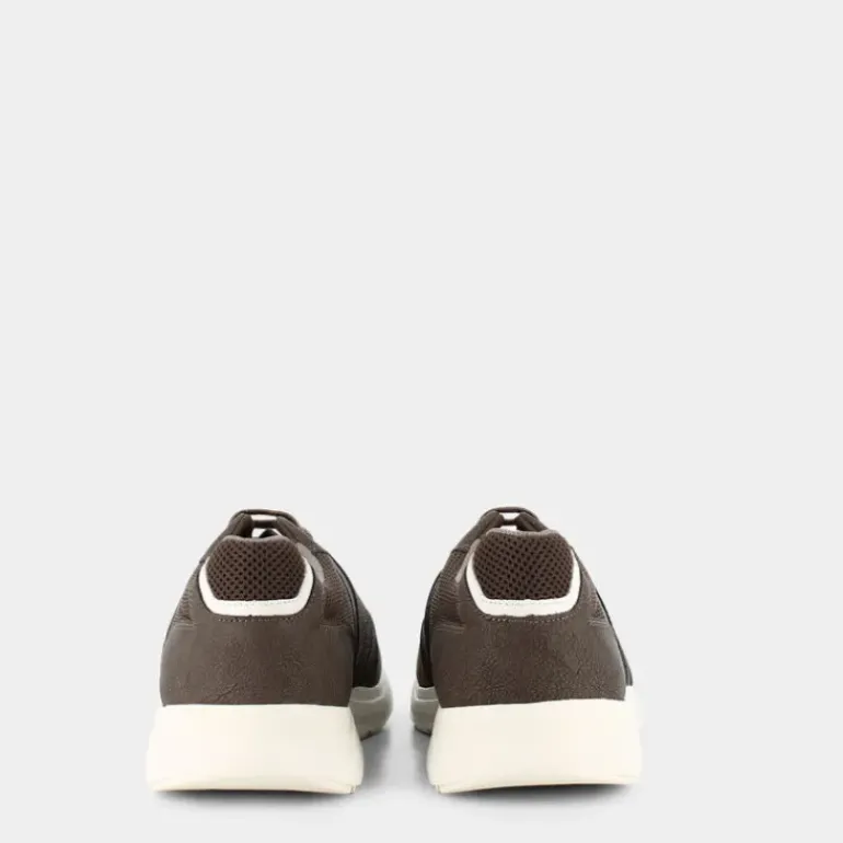 DAMIANO- SNEAKERS MARRONE U35ANA014EKC1018