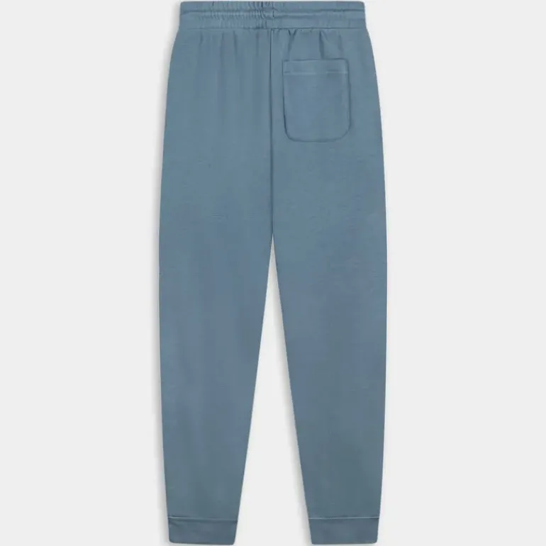 GO-TO EMBROIDERED STAR CHEVRON- PANTALONI LAKESIDE BLUE 10023873