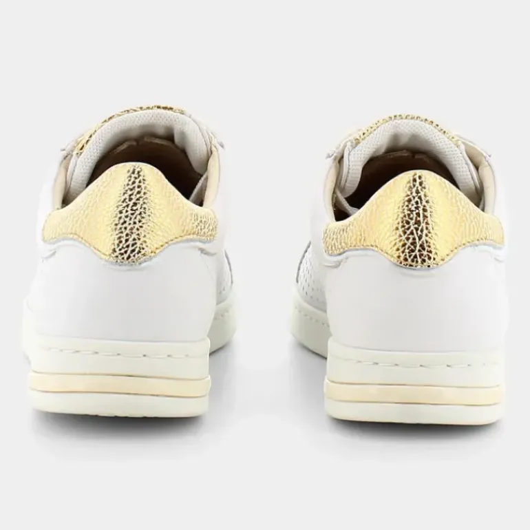 JAYSEN B- SNEAKERS WHITE/GOLD D151BB085CFC0232