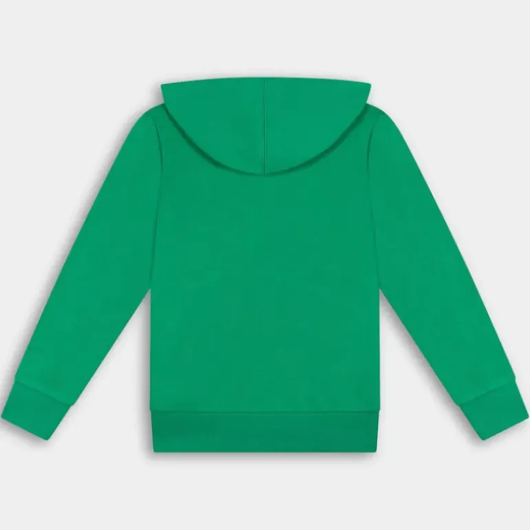 MAGLIE E FELPE VERDE 306984