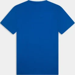 SALIS- T-SHIRT BLU LAPIS NP0A4H8D