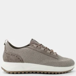 SARONNO- SNEAKERS BEIGE 7634533