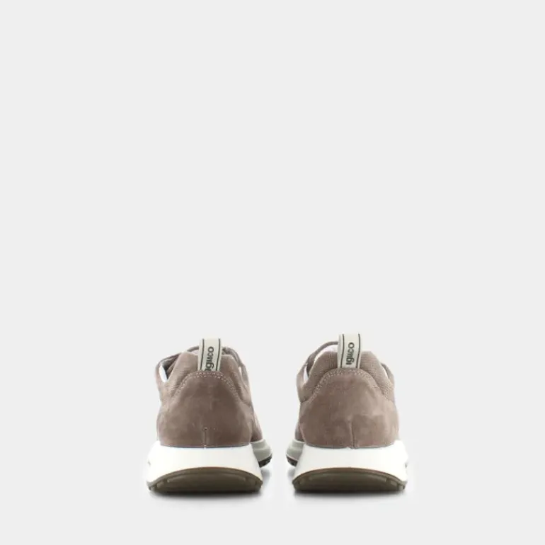 SARONNO- SNEAKERS PELTRO 3629022