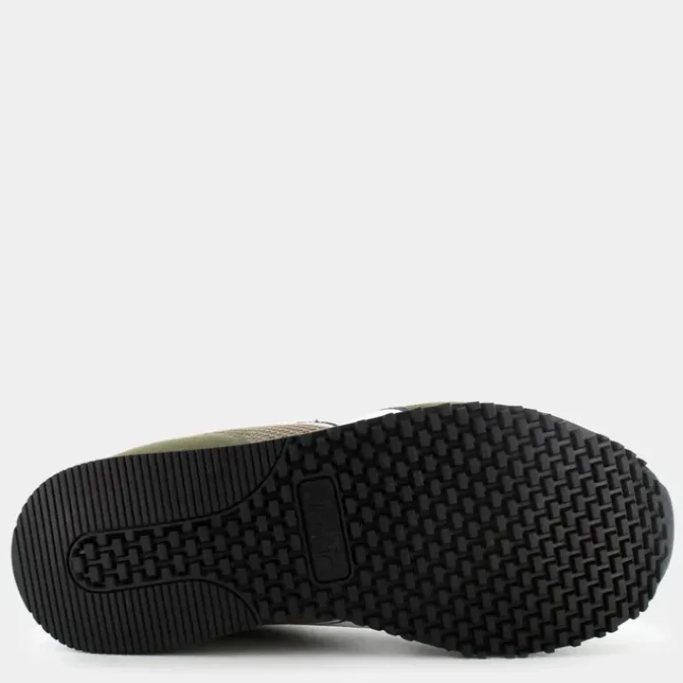 SKYLER- SPORTIVE GREEN DRIED HERB 101.179728