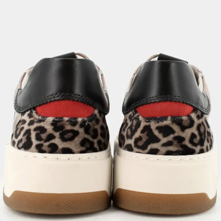 SNEAKERS TORTORA / NERO / ROSSO .