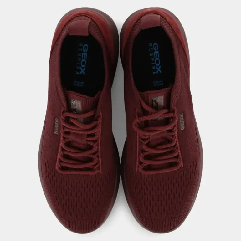 SPHERICA- SNEAKERS WINE D15NUA 0006K C7011