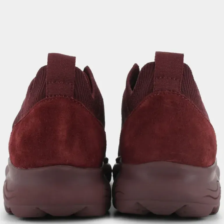 SPHERICA- SNEAKERS WINE D15NUA 0006K C7011