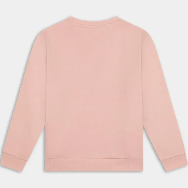 TERA LS- MAGLIE E FELPE ROSA 13212461