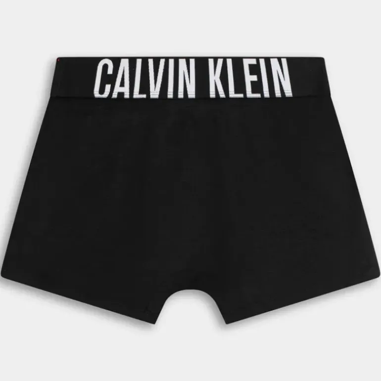 TRUNK 3PK- INTIMO BLACK 000NB3608A