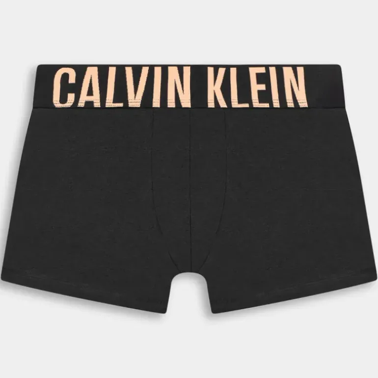 TRUNK 3PK- INTIMO NERO 000NB3608AVVN